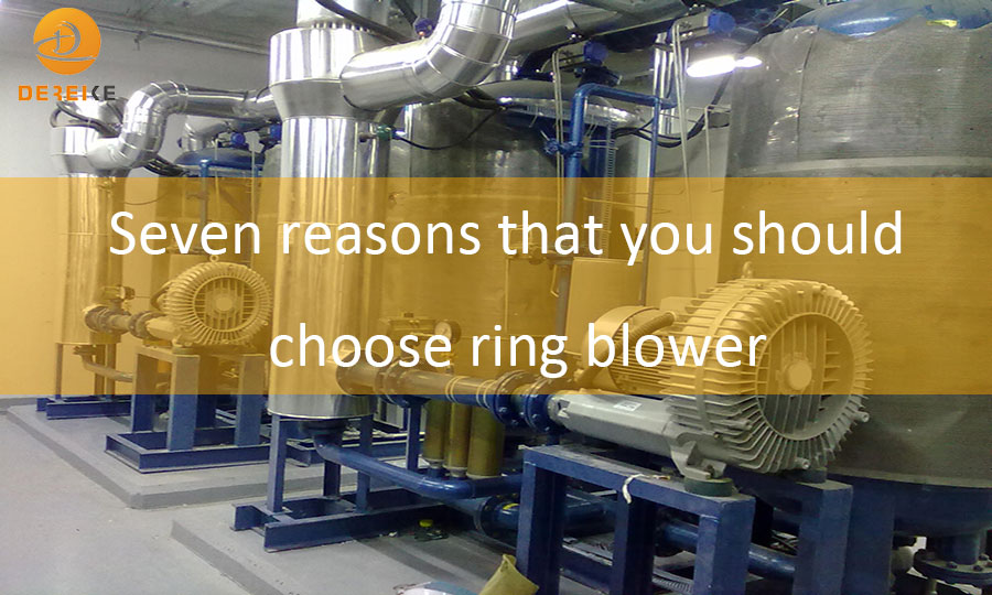 Seven reasons that you should choose ring blower - Dereike