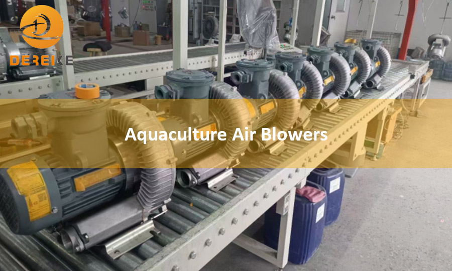 Aquaculture air blowers 