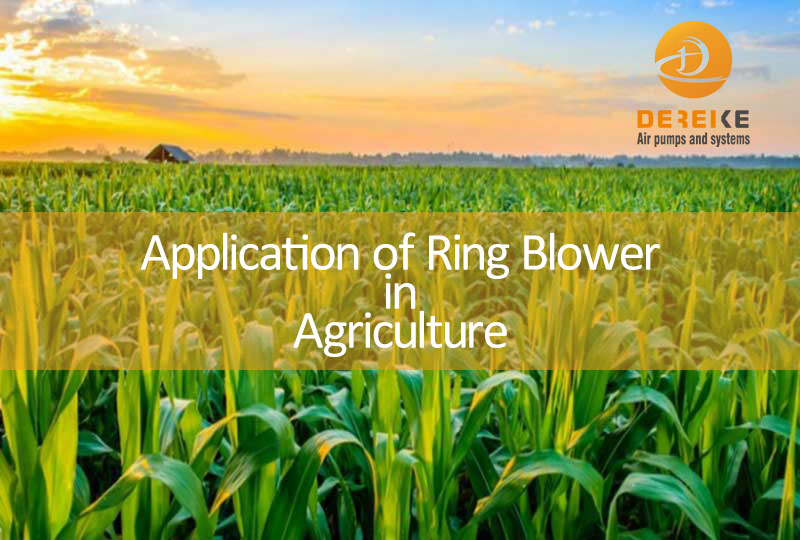 Application of Ring Blower in agriculture - Dereike 