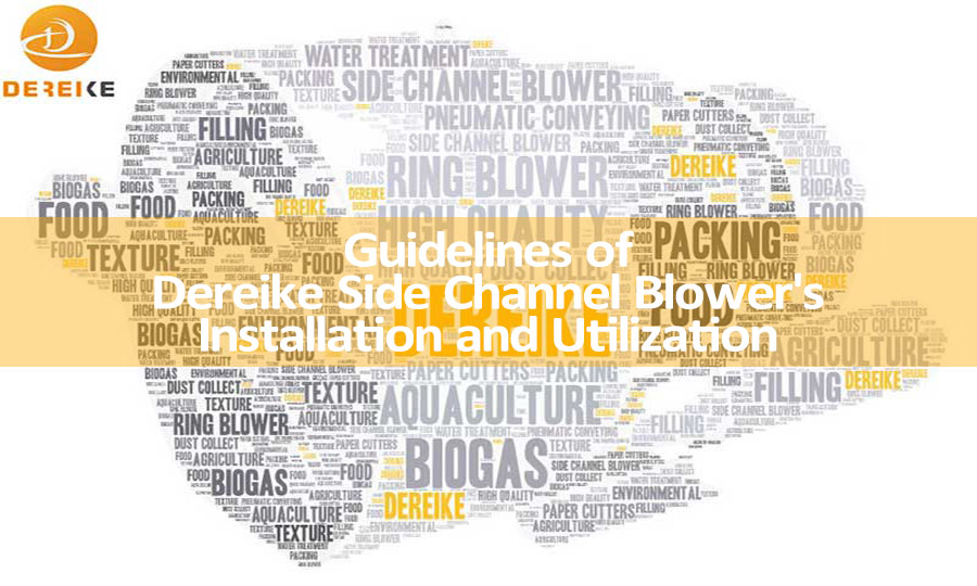 Guidelines of Dereike Side Channel Blower's  Installation and Utilization 