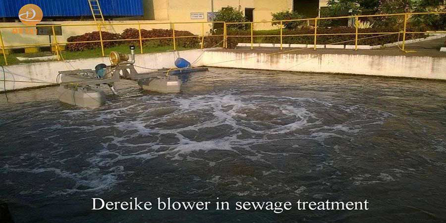 Water Treatment System Dereike air blower Introductin