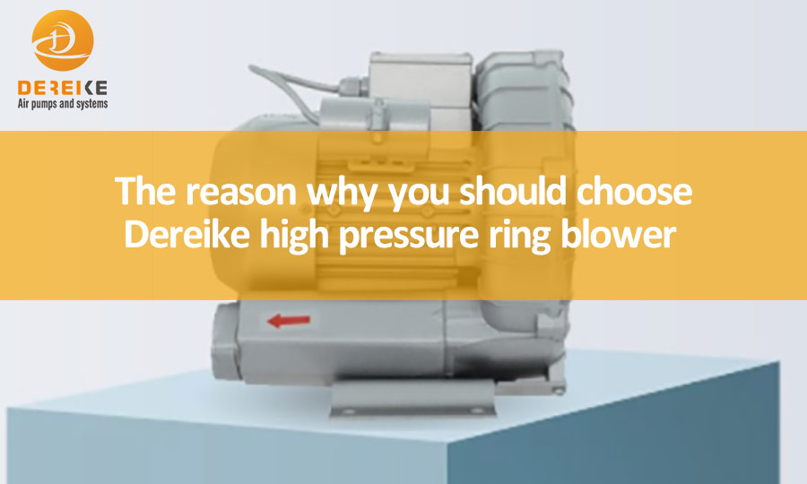 The reason why you should choose Dereike high pressure ring blower